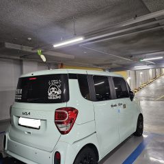 처음 세차 경험