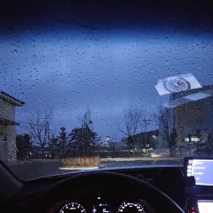 후기 이후에도 관심 가진 강사님