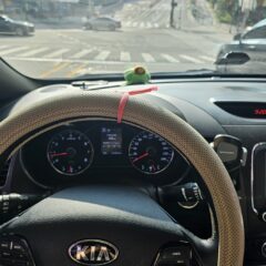 [송파] 운전연수 4일 만에 육아 해방 후기