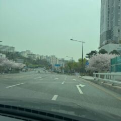 장롱면허 8년 만에 탈출한 용인 방문연수 후기