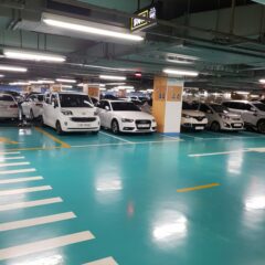 안개 낀 아침 울산 도로 운전연수 솔직 후기