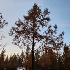 울산 교차로 운전 겁나았어요