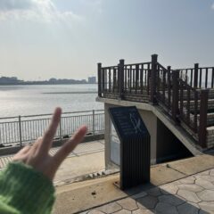 밀집 주차장 쓰러지던 걸 안 외웠어요